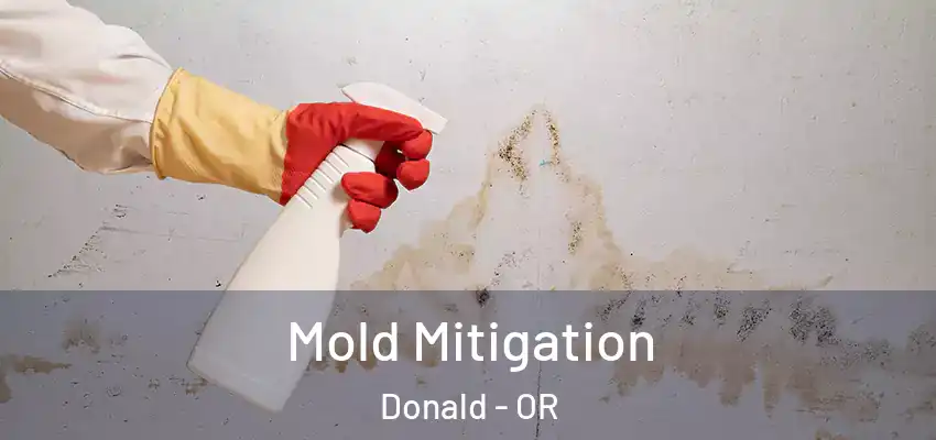  Mold Mitigation Donald - OR