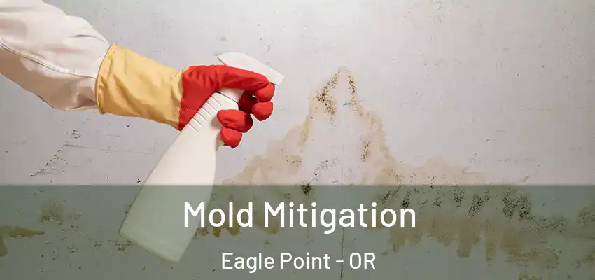  Mold Mitigation Eagle Point - OR