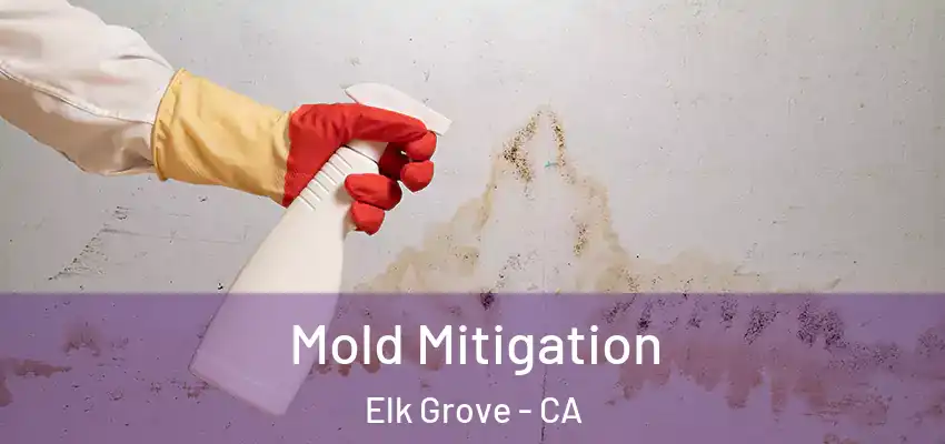 Mold Mitigation Elk Grove - CA