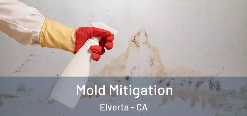  Mold Mitigation Elverta - CA