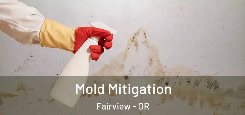  Mold Mitigation Fairview - OR