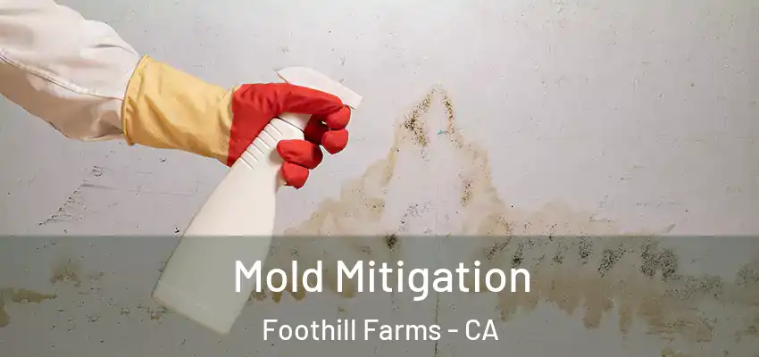  Mold Mitigation Foothill Farms - CA
