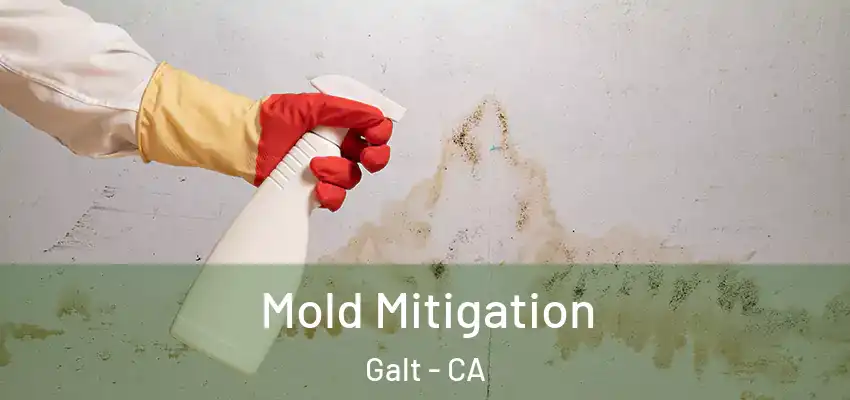  Mold Mitigation Galt - CA