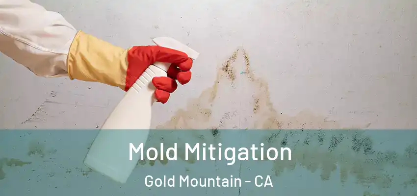  Mold Mitigation Gold Mountain - CA
