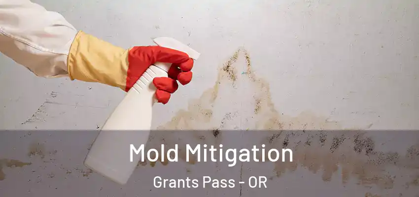  Mold Mitigation Grants Pass - OR