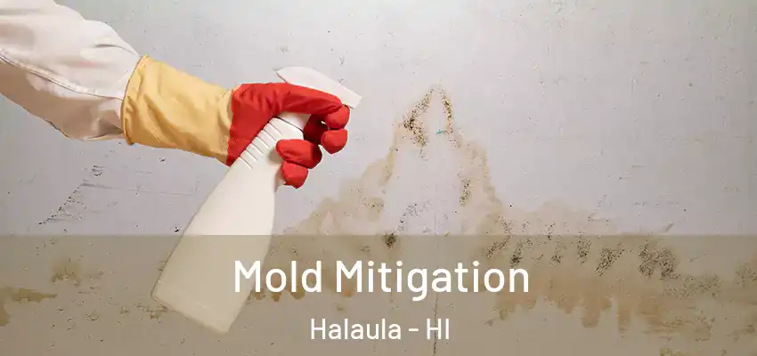  Mold Mitigation Halaula - HI