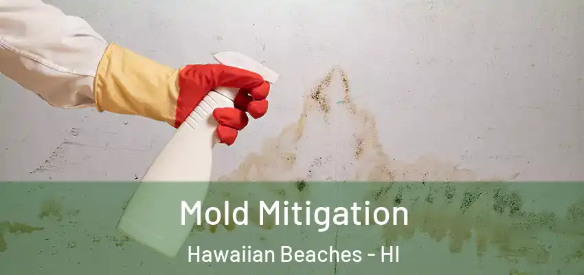  Mold Mitigation Hawaiian Beaches - HI