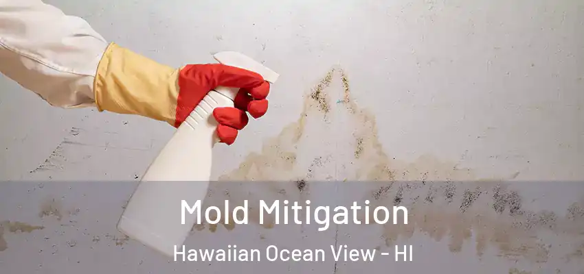  Mold Mitigation Hawaiian Ocean View - HI
