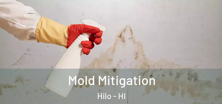  Mold Mitigation Hilo - HI