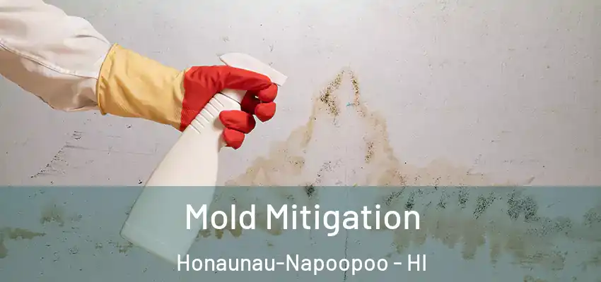  Mold Mitigation Honaunau-Napoopoo - HI