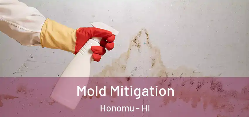  Mold Mitigation Honomu - HI