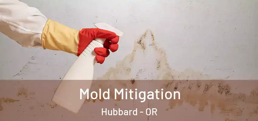  Mold Mitigation Hubbard - OR