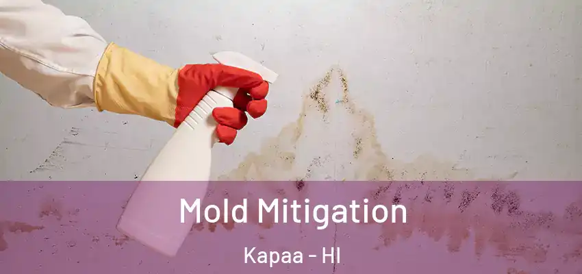  Mold Mitigation Kapaa - HI