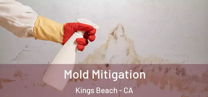  Mold Mitigation Kings Beach - CA