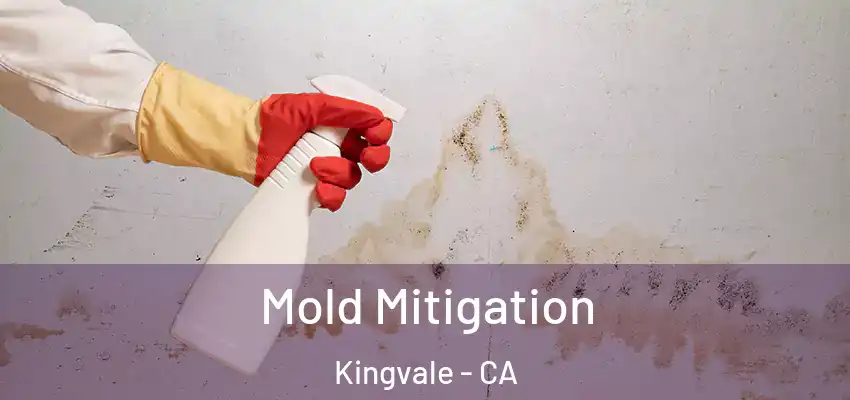  Mold Mitigation Kingvale - CA