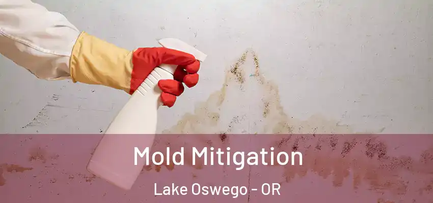  Mold Mitigation Lake Oswego - OR