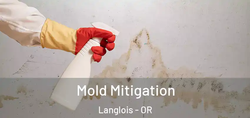  Mold Mitigation Langlois - OR