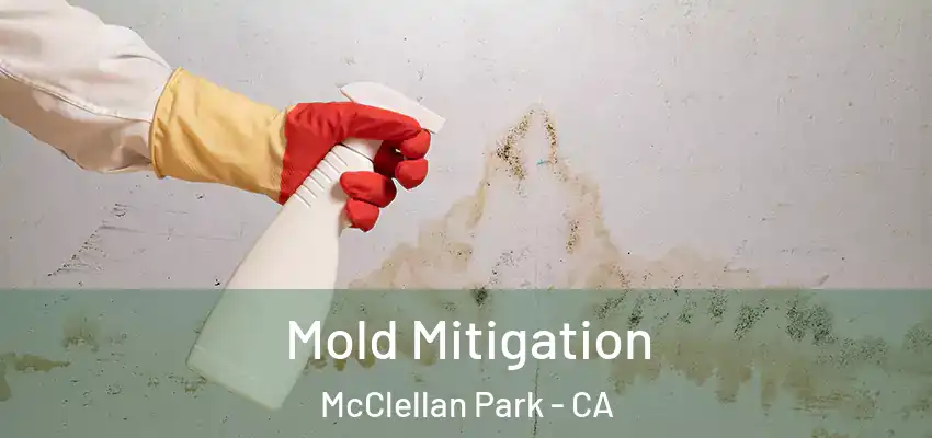  Mold Mitigation McClellan Park - CA