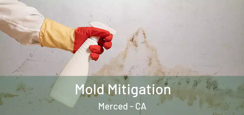  Mold Mitigation Merced - CA