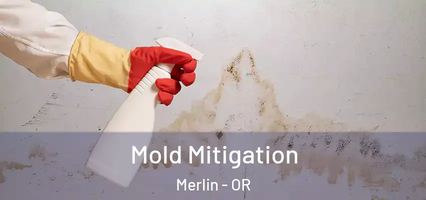  Mold Mitigation Merlin - OR