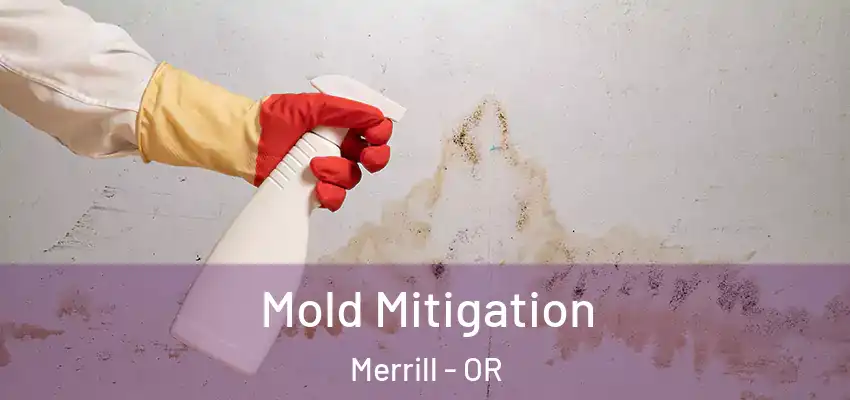  Mold Mitigation Merrill - OR