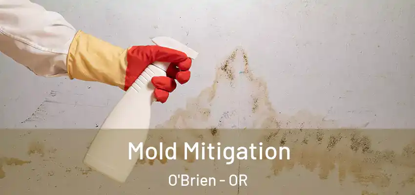  Mold Mitigation O'Brien - OR