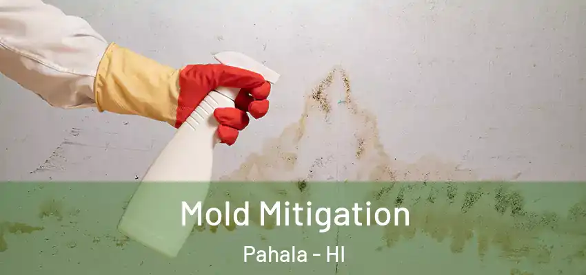  Mold Mitigation Pahala - HI