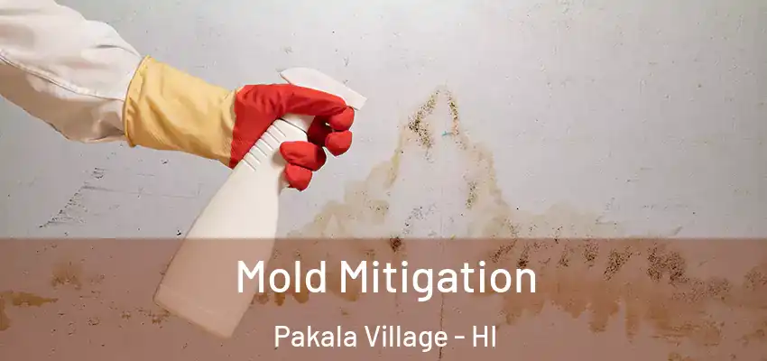  Mold Mitigation Pakala Village - HI