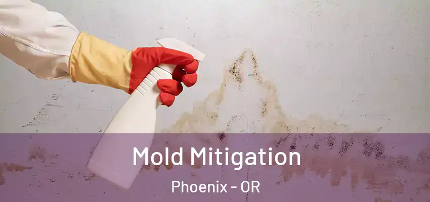  Mold Mitigation Phoenix - OR