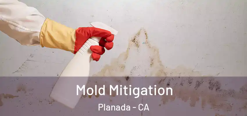  Mold Mitigation Planada - CA