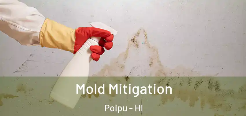  Mold Mitigation Poipu - HI