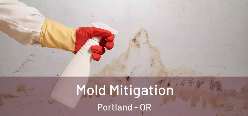  Mold Mitigation Portland - OR
