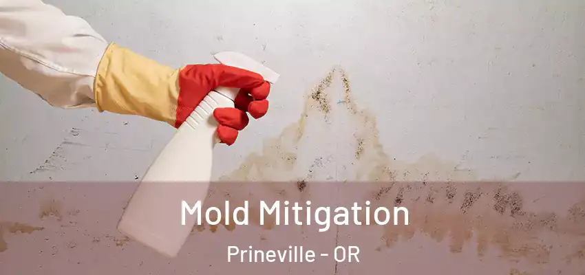  Mold Mitigation Prineville - OR