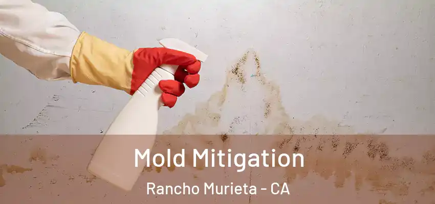  Mold Mitigation Rancho Murieta - CA