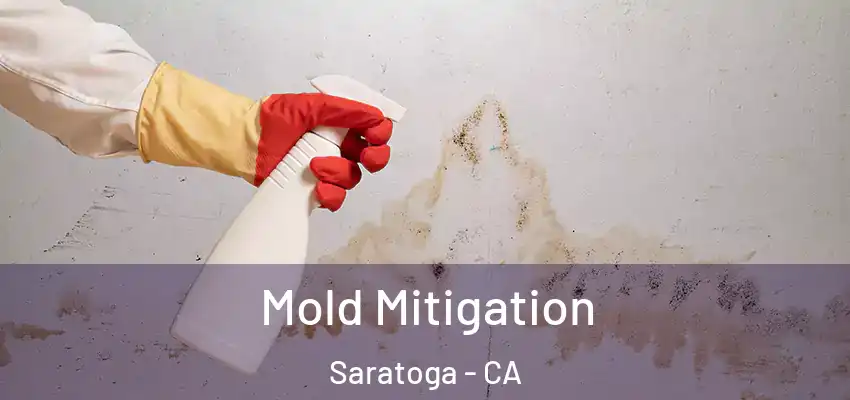  Mold Mitigation Saratoga - CA