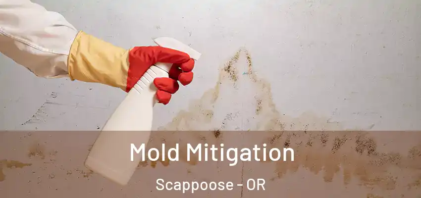  Mold Mitigation Scappoose - OR