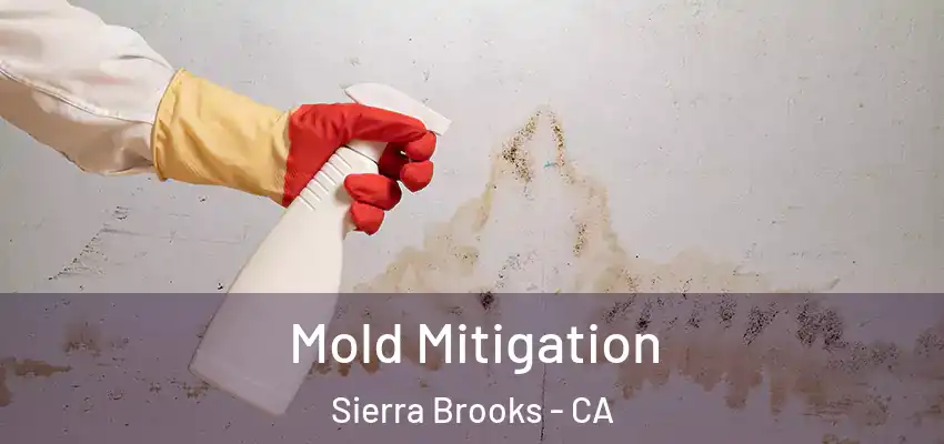  Mold Mitigation Sierra Brooks - CA
