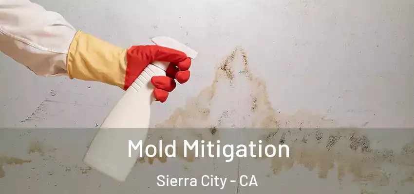 Mold Mitigation Sierra City - CA
