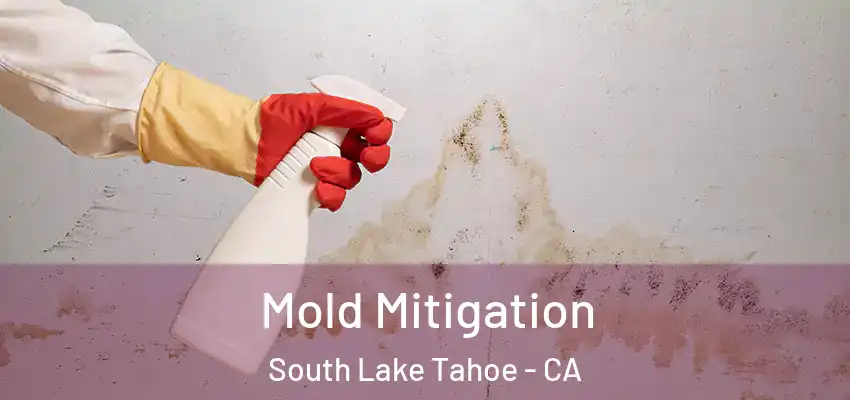  Mold Mitigation South Lake Tahoe - CA
