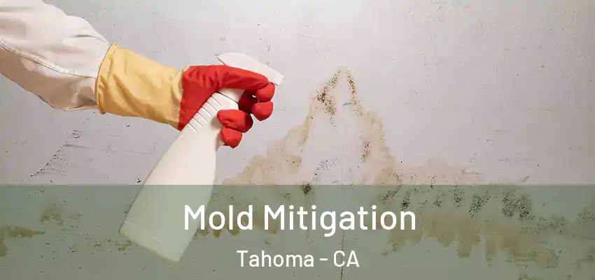  Mold Mitigation Tahoma - CA