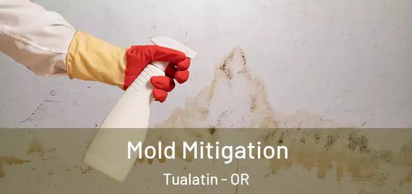  Mold Mitigation Tualatin - OR