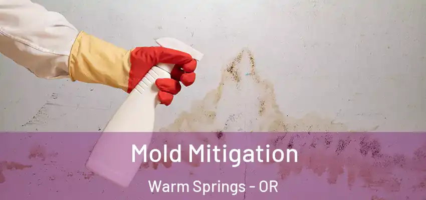  Mold Mitigation Warm Springs - OR