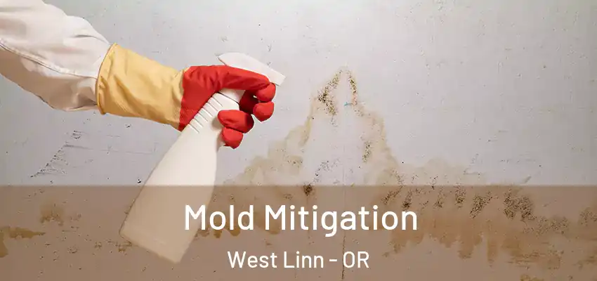  Mold Mitigation West Linn - OR