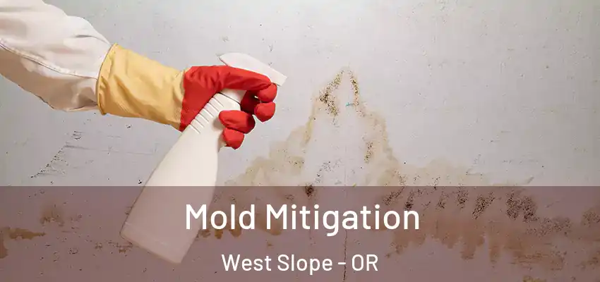 Mold Mitigation West Slope - OR