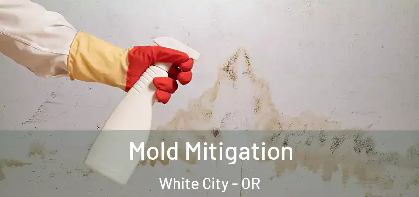  Mold Mitigation White City - OR