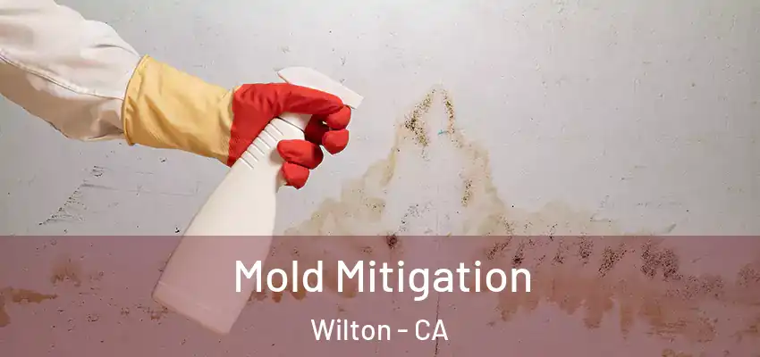  Mold Mitigation Wilton - CA