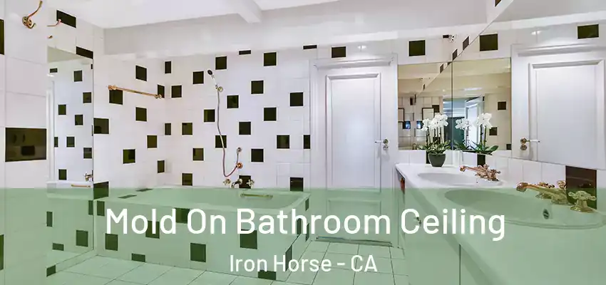  Mold On Bathroom Ceiling Iron Horse - CA