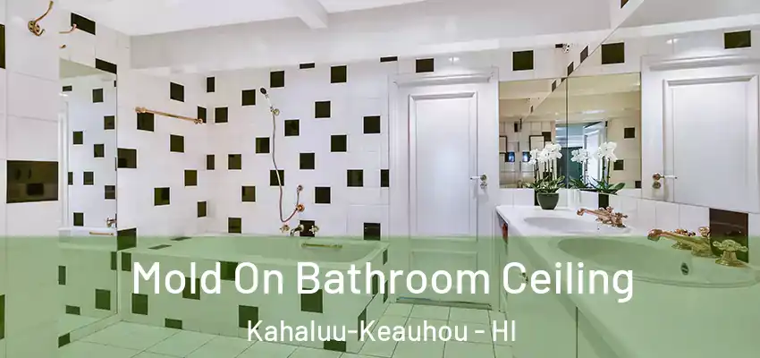 Mold On Bathroom Ceiling Kahaluu-Keauhou - HI