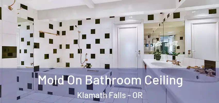  Mold On Bathroom Ceiling Klamath Falls - OR