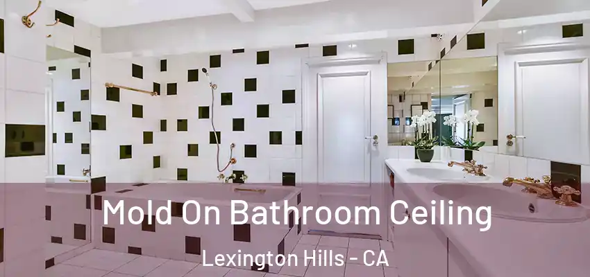  Mold On Bathroom Ceiling Lexington Hills - CA